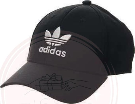 Cap — 6 Panel
