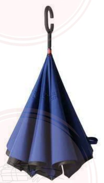 Reversible Umbrella