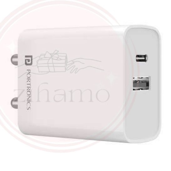 2-in-1 Fast Charging Plug
