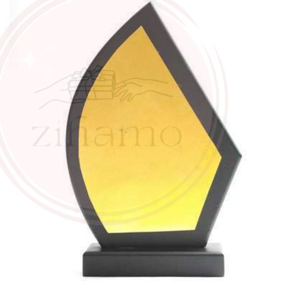 Trophies & Awards