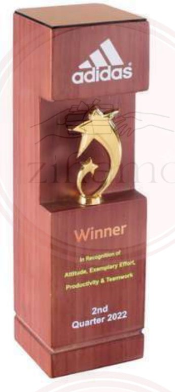 Wooden Trophy