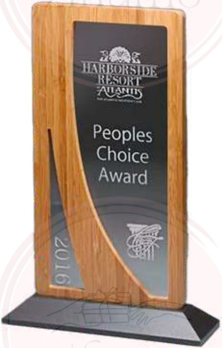 Wood & Metal Trophy